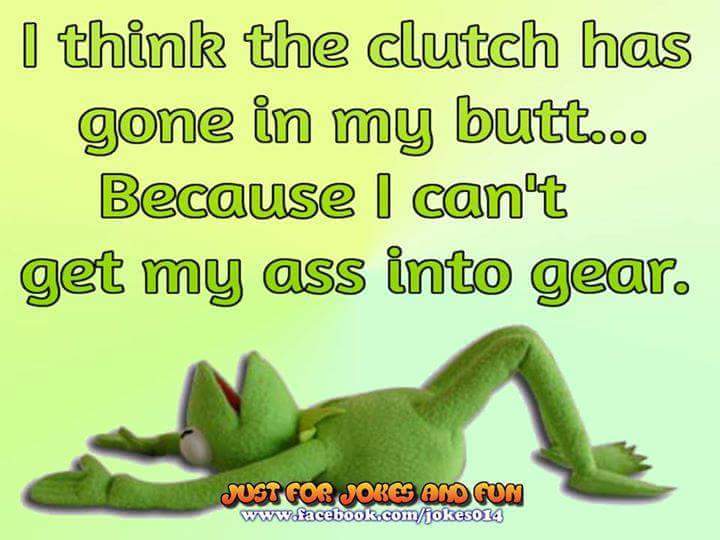 wp-1443113247204 image