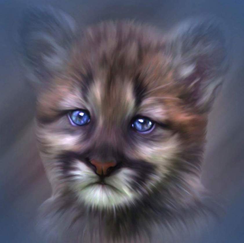 wp-1444625533214 image