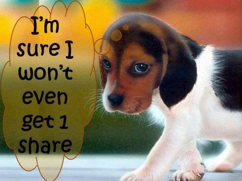 wp-1445827459165 image