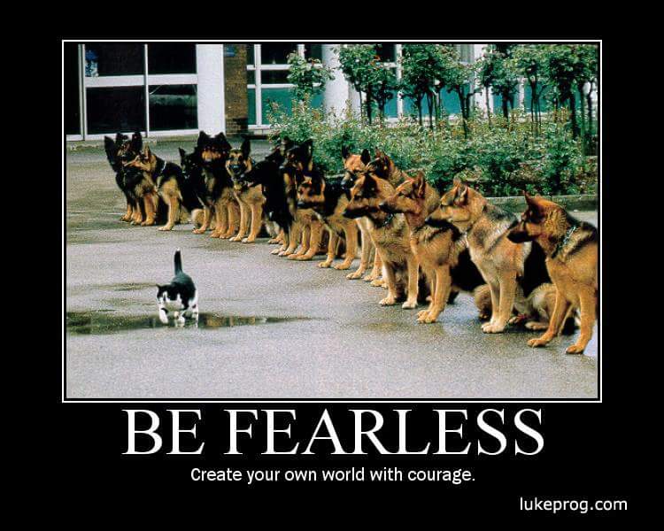 wp-1445828658392 image