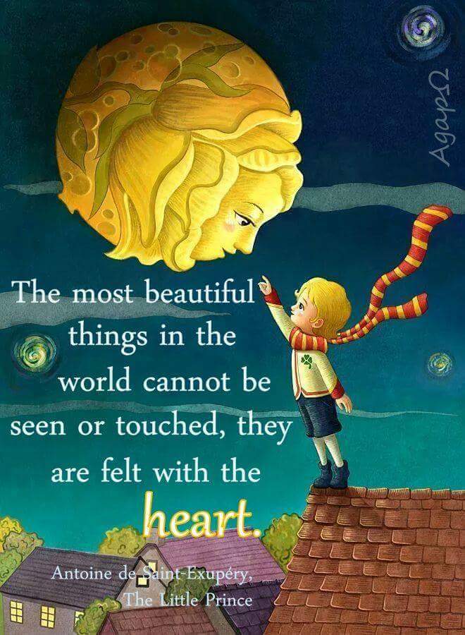 wp-1445829539880 image