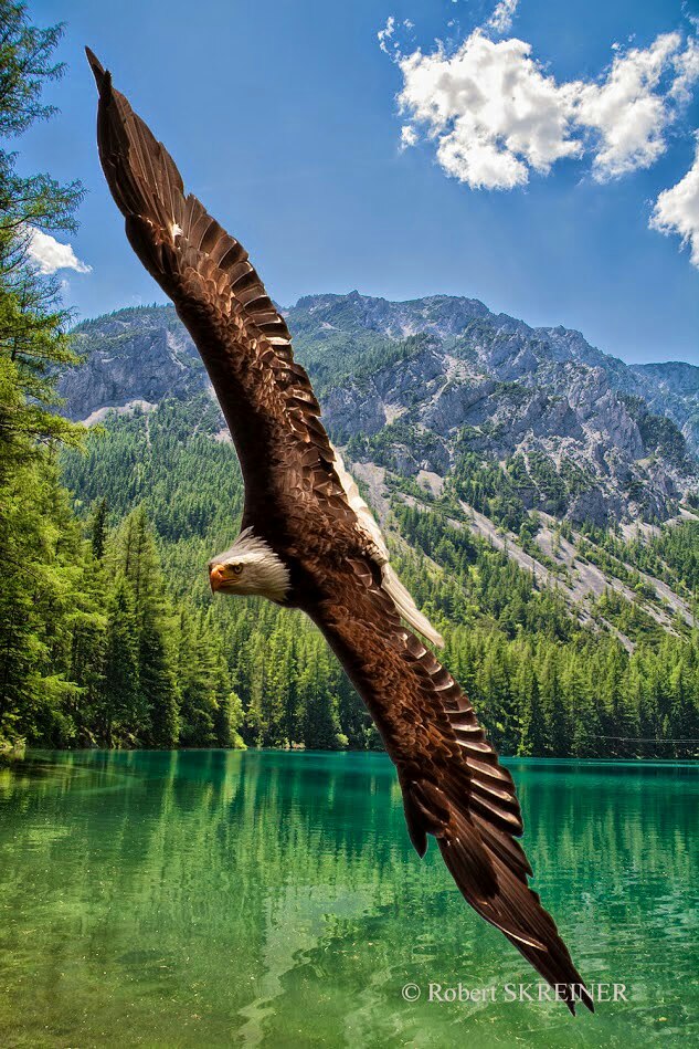 wp-1446001384066 image