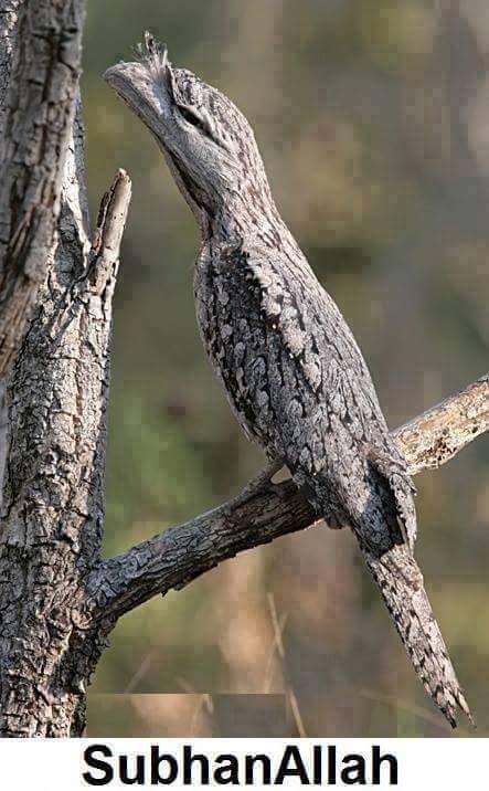 wp-1446072354056 image