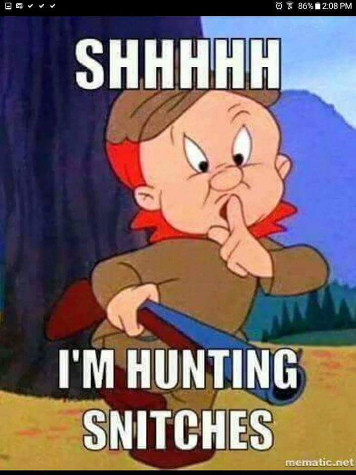 wp-1446093684342 image