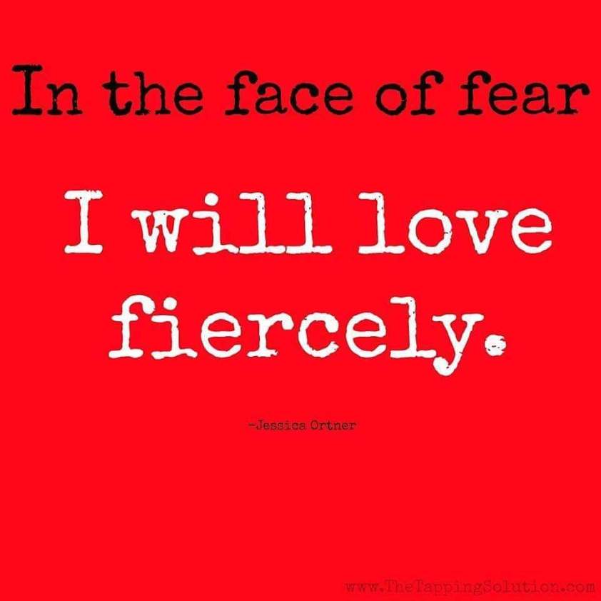 wp-1448463400131 image