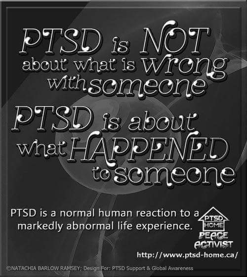 wp-1448463646810 image