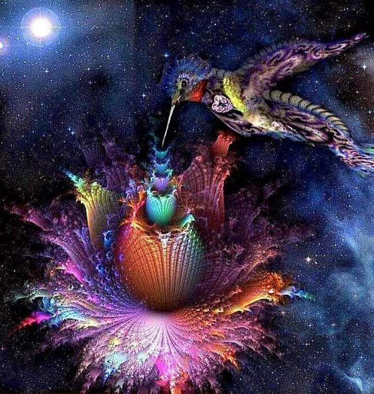 wp-1448652875387 image