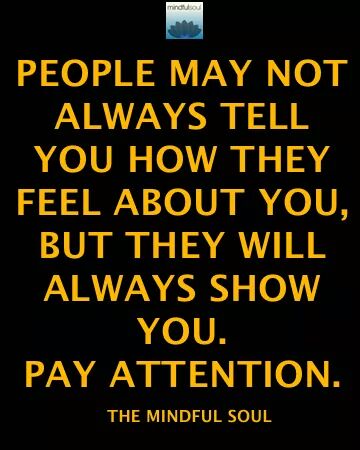 wp-1446393778113 image