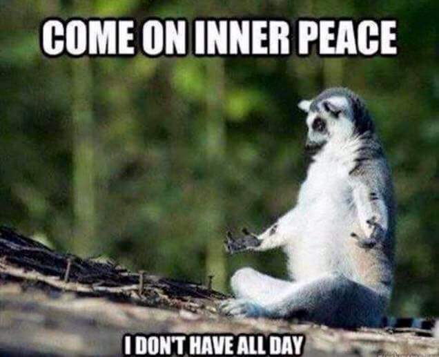 wp-1447621908793 image