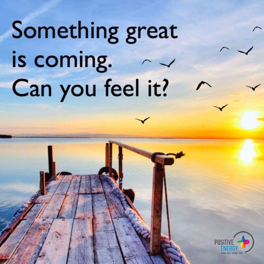 wp-1447901895850 image