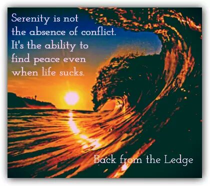 wp-1452707554503 image